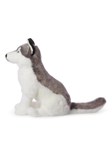 Plüschtier - Husky (sitzend, 70cm) in grau