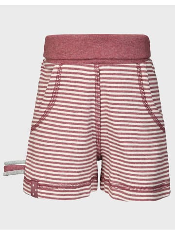 Baby Schlupf-Shorts in Bordeaux Melange
