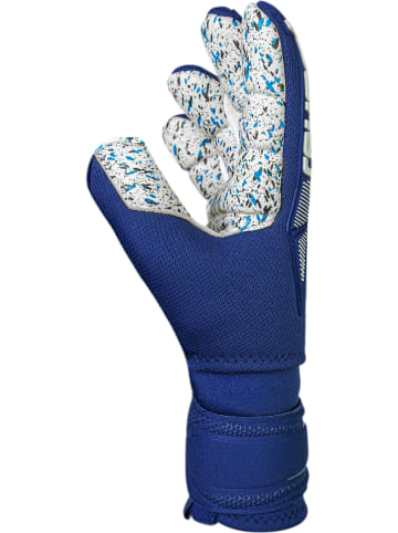 Torwarthandschuhe Attrakt Freegel Fusion Ortho-Tec in 4414 premium blue/white