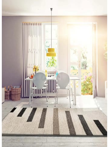 Hochflor-Teppich SCENIC in beige / grau