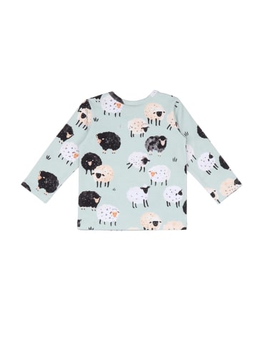 Langarmshirt Langarm Shirt aus Baumwolle (Bio)