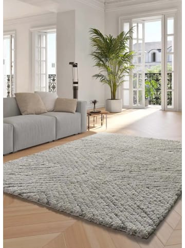 Hochflor-Teppich ATESA in silber