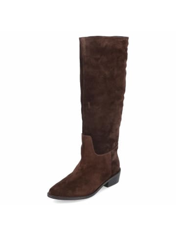 Stiefel THE NOTE BOOT in braun