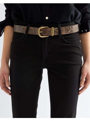 Gürtel Snake in Dark Brown