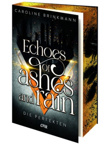 Buch - Echoes of Ashes and Rain - Die Perfekten