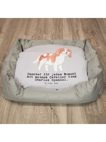 Hundekörbchen Cavalier King Charles Spaniel Mom... in Grau Pastell