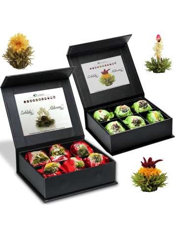 2x 6er Magnet-Präsentbox ErblühTee Grüner Tee "Fruity Flavor" + Weißer Tee