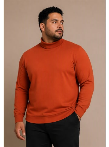 Rollkragenshirt in cognac