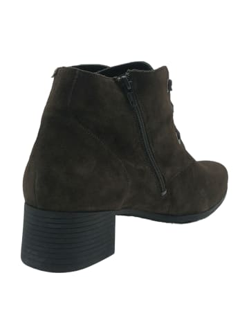 Ankle Boots in Braun
