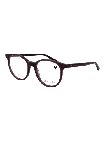 Damen Optische Fassungen Panto Lila