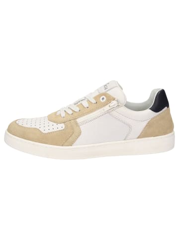 Sneaker Tertulio-700-H in beige