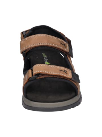 Trekkingsandalen in Braun