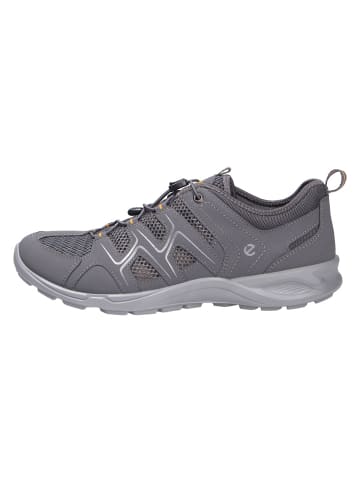 Schnürschuh TERRACRUISE LT M in grau