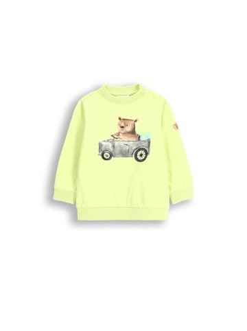 Langarm-T-Shirt in limonengrün