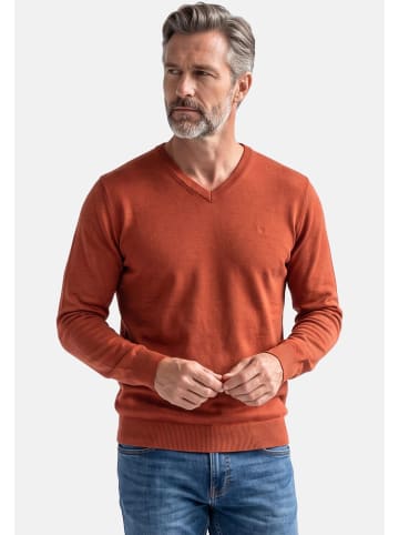 Pullover Basic in Terra