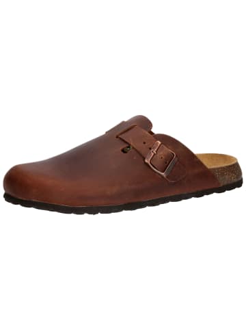 Pantolette "Bioline Clog Leather" in Braun