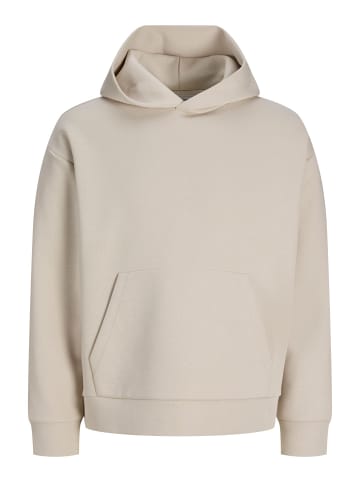 Kapuzenpullover in Moonbeam