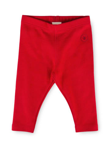 Leggings in rot