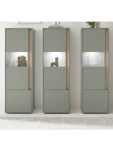 Schrank-Set Salbei grün, Eiche 190 cm, Vitrinen-Set mit 3x Vitrine je 50x 155 cm