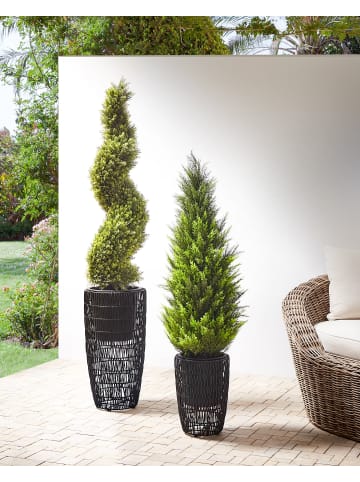 2er-Set Outdoor Blumentopf CHELONE in Schwarz