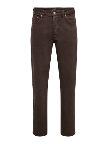 Straight-Fit jeans in Coffee Bean
