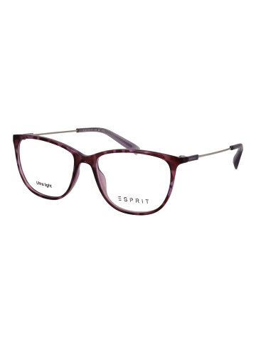 Damen Optische Fassungen Panto Lila