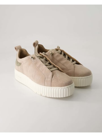 Slip On Sneaker in Beige