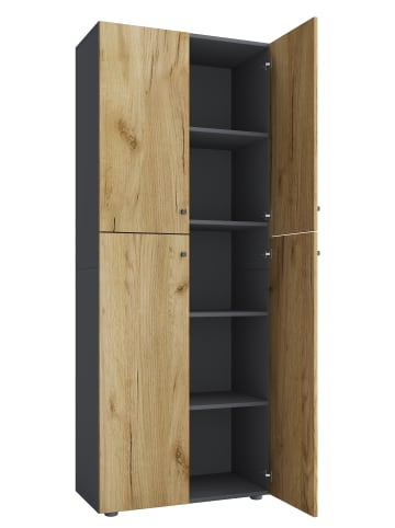 Büroschrank Bücher Ordner Aktenschrank Lona 5fach in Anthrazit / Honig-Eiche