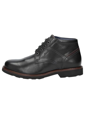 Stiefelette Dilip-718-H in schwarz