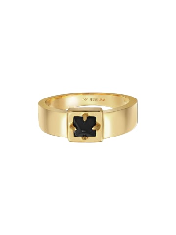Ring 925 Sterling Silber Siegelring in Gold