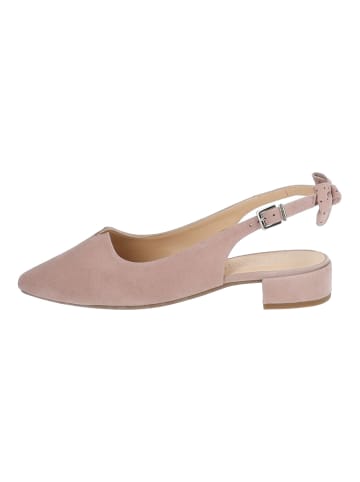 Pumps Mauve