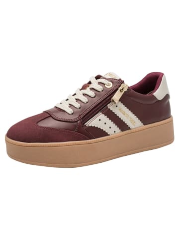 Sneaker in BORDEAUX COMB