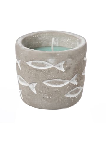 Duftkerze Citronella maritimer Betontopf mit Fischmuster in hellblau