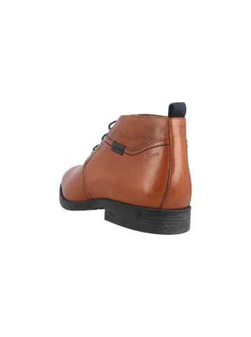 Stiefel in Braun
