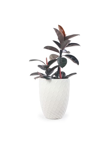 Pflanztopf in Weiß 42x54 cm Keramik frostsicher mit Rautenmuster