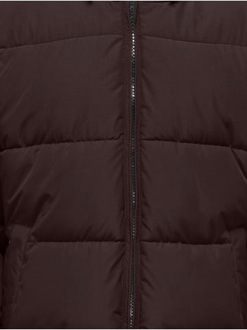 Steppmantel Winterjacke Kogjuta in chocolate torte