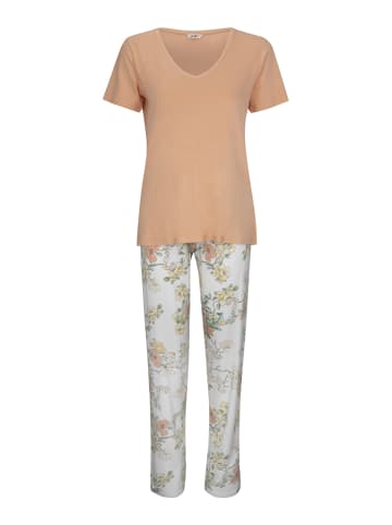 Pyjama Begonia in Salmon