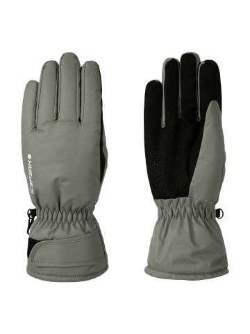 Icepeak Hayden in Grau