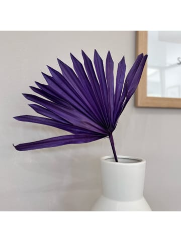 Palmblatt Sun Cut in Lila - (H) 40 cm