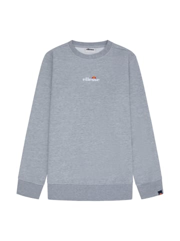 Sweatshirt in Hellgrau
