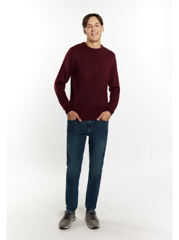 Herren Pullover in Bordeaux