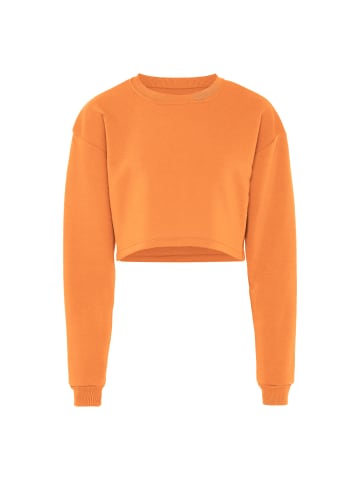 Damen Sweatshirt in Aprikose