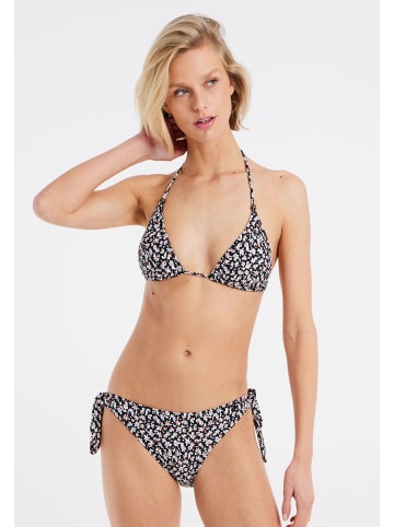 " PRTPALMCOVE 23 in Lotuspink