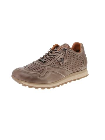Sneaker low C-848 EXP INV25 in Braun