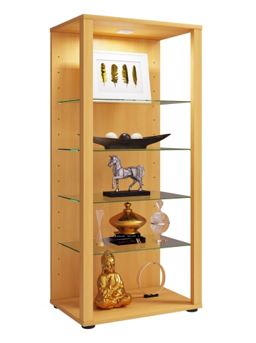Holz Glas Stand Vitrine Sammelvitrine Glasol lll in Buche