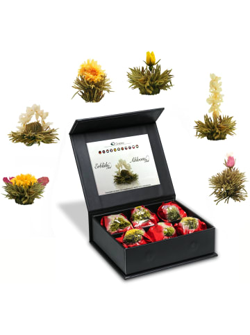3x 6er Magnet-Präsentbox ErblühTee Grüner Tee + Weißer Tee + Grün/Weiß/Schwarz