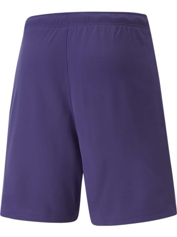 Sporthose "TeamRISE Short" in Lila