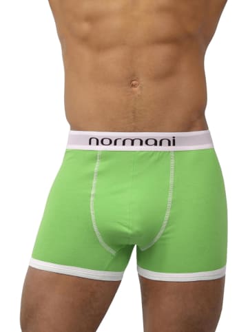 6 Stück Retro Boxershorts aus Baumwolle in Retro Grün