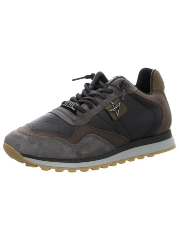 Sneaker Low in schwarz