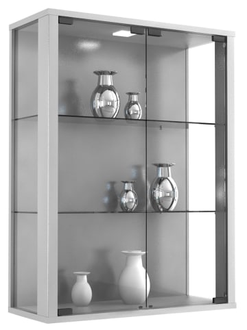 Vitrinenschrank Udina Silber 60 x 25 cm